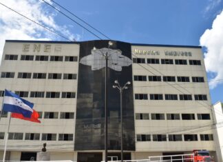 STENEE pide al gobierno de Xiomara Castro, eliminar la gerencia y nombrar una junta interventora