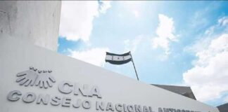 El CNA interpone denuncia en el Ministerio Público por nepotismo en el ICF