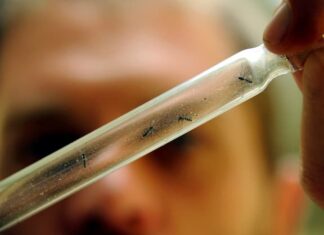 El dengue, la influenza y Covid-19 están afectando a los menores hondureños