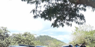 Droga decomisada en Olancho asciende a más de 680 mil lempiras