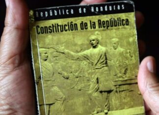 Figura de «diputado vitalicio» no existe en la Constitución ni en la Ley Orgánica del CN, dice constitucionalista