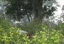 Hallan muerta a mujer que había sido raptada en Choloma, Cortés