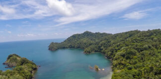 Capturan a dos personas y aseguran 18 bienes por la adjudicación irregular de predios en la zona núcleo del Parque Jeanette Kawas