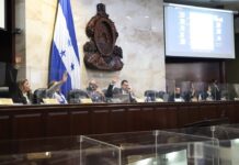 En la ultima sesión el CN aprueba una amnistía vehicular y el traspaso del edificio anexo del BCH al MP