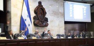 En la ultima sesión el CN aprueba una amnistía vehicular y el traspaso del edificio anexo del BCH al MP