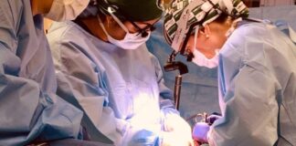 Trasplantan dos riñones de cerdo modificados genéticamente a un humano