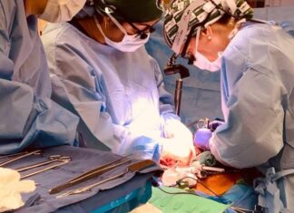 Trasplantan dos riñones de cerdo modificados genéticamente a un humano