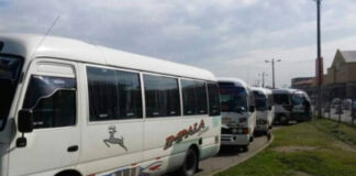 Transportistas paralizan sus unidades en la gran Terminal de Buses de SPS