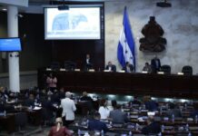 Presentan decreto para bajar el Impuesto Sobre la Venta del 15 al 12%