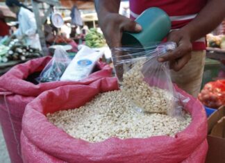 Denuncian incremento de 5 lempiras al quintal de maíz