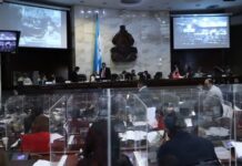 El Congreso Nacional presidido por Redondo aprueba subsidio para la energía y rebaja a los combustibles