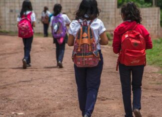 Unos 500 mil niños aún no se matriculan en el sistema educativo hondureño