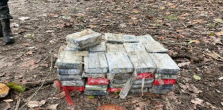 A 122 kilos de coca asciende droga incautada en el Caribe a falta de contar cinco fardos