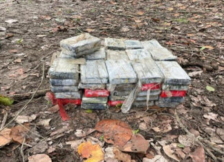 A 122 kilos de coca asciende droga incautada en el Caribe a falta de contar cinco fardos