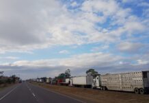 Rastreros liberan la CA-5 y el Canal Seco después de dos días de tomas