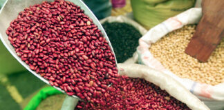Los frijoles se suman a la lista de productos básicos que podrían aumentar su precio