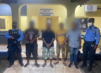 Unos 321 detenidos deja la operación Némesis II a nivel nacional