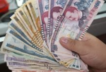 Un total de 52 dos mil millones de lempiras serán destinados para pago de la deuda externa, señala economista