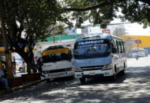 Transportistas pagan hasta 21 mil lempiras mensuales en extorsión, denuncia dirigente