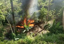 Erradican y destruyen dos plantaciones de coca y un narcolaboratorio en Colón