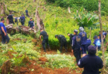 Localizan plantación con unos 21 mil arbustos de coca en El Paraíso