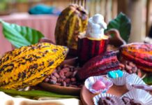 Este fin de semana se celebrará el Festival Internacional del Chocolate en el Lago de Yojoa