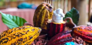Este fin de semana se celebrará el Festival Internacional del Chocolate en el Lago de Yojoa