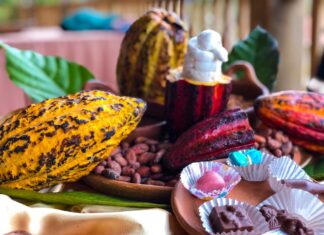 Este fin de semana se celebrará el Festival Internacional del Chocolate en el Lago de Yojoa