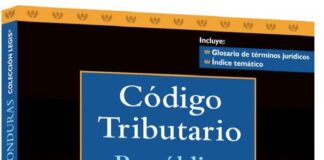 Código Tributario no permite investigar a los accionistas de las empresas, dice economista