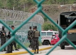 Unas 40 demandas se han presentado contra INP por despidos de policías en el país