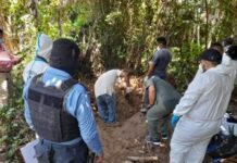 Exhuman tres cadáveres sepultados en fosa clandestina en La Ceiba