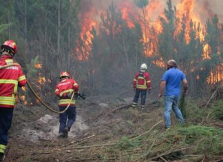 Un total de 79 incendios forestales en lo que va del año