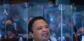 Jari Dixon propone eliminar en su totalidad la inmunidad de los diputados hondureños