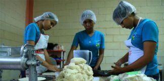 Sector Mipyme recibe con preocupación derogación de Ley de Empleo “va contra nuestro esfuerzo”