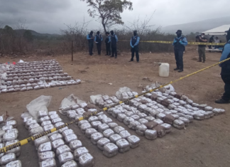 Incineran más de 800 paquetes de marihuana en Honduras