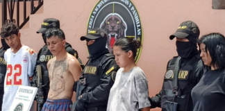 La FNAM captura a siete miembros de la pandilla 18 en la capital hondureña