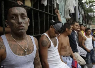 Honduras refuerza fronteras para evitar el ingreso de pandilleros salvadoreños