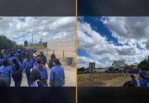 Protestas en Escuela Agrícola El Zamorano por presuntas violaciones a alumnas