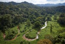 Autoridades hondureñas dicen que “es increíble el daño” a la Biosfera del Río Plátano durante “la dictadura”