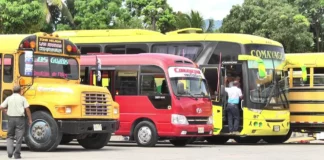 Transportistas piden al gobierno el pago de 7 meses y aprobación de decreto para subsidio de tarifa compensatoria