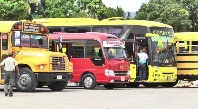 Transportistas piden al gobierno el pago de 7 meses y aprobación de decreto para subsidio de tarifa compensatoria