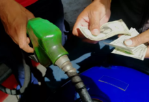 La expectativa es que los precios de los combustibles se estabilicen en las próximas semanas, señala presidente de la Ahdippe