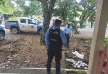 Encuentran 24 paquetes de marihuana a la orilla de la carretera en Sonaguera, Colón