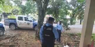 Encuentran 24 paquetes de marihuana a la orilla de la carretera en Sonaguera, Colón