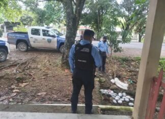 Encuentran 24 paquetes de marihuana a la orilla de la carretera en Sonaguera, Colón