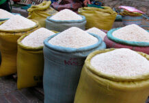 Advierten que unos 300 mil quintales de arroz están riesgo de perderse por falta de compradores