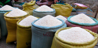 Advierten que unos 300 mil quintales de arroz están riesgo de perderse por falta de compradores