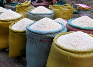 Advierten que unos 300 mil quintales de arroz están riesgo de perderse por falta de compradores