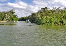El Gobierno de Honduras anuncia un plan para rescatar biosfera del Río Plátano