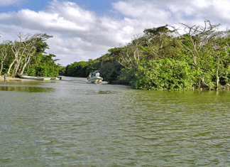 El Gobierno de Honduras anuncia un plan para rescatar biosfera del Río Plátano
